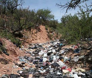 Trashing Arizona