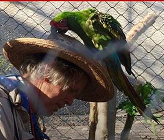 mike_foster_headshot_with_parrot.jpg