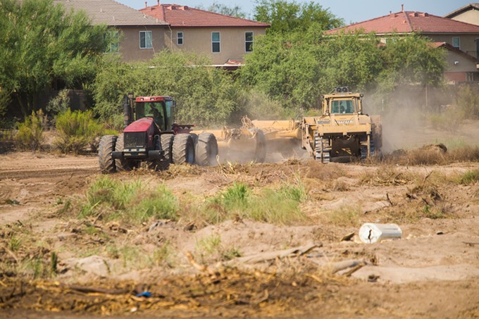 Construction workers dump sediment from the Rillito onto what was once the Columbus Weed Patch birding hot spot.