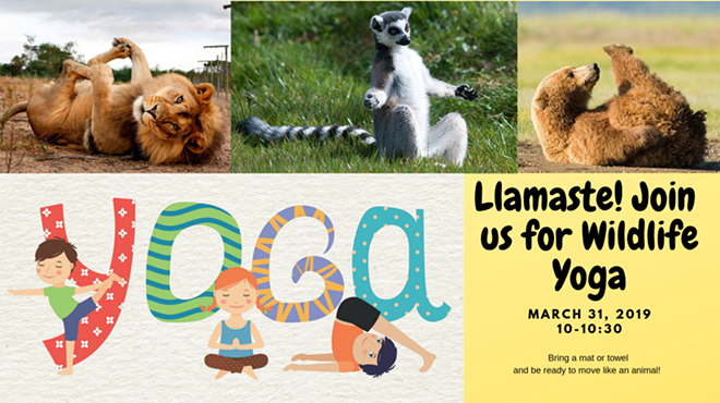 Wildlife Yoga for Kids