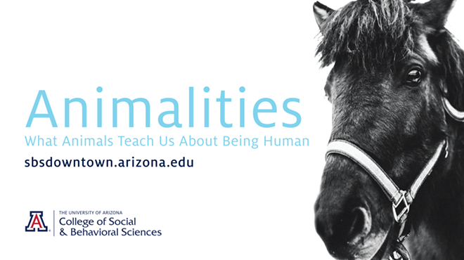 UA Downtown Lecture: “Łįį’ (Navajo Horse) as Healer and Educator”