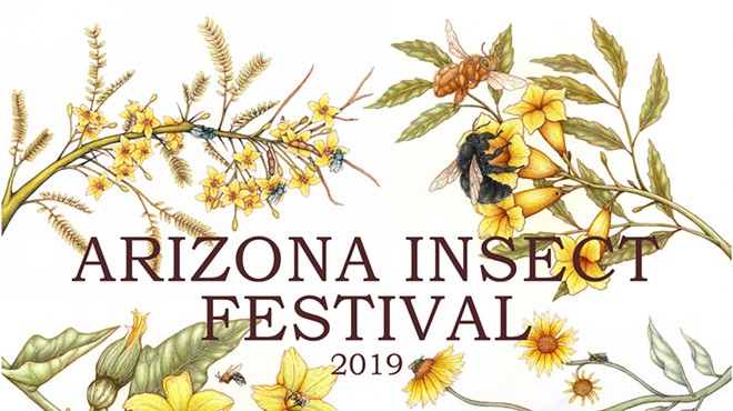2019 Arizona Insect Festival