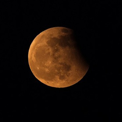 Stay Up to See Sunday's 'Super Blood Wolf Moon'