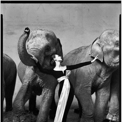 Richard AvedonDovima with elephants, evening dress by Dior, Cirque d'Hiver, Paris, August 1955© The Richard Avedon Foundation