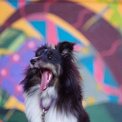 FREE Third Thursday: Yappy Hour