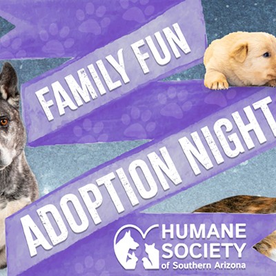 HSSA's Family Fun Adoption Night