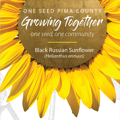 One Seed Pima County: Blooming Black Russian Sunflowers