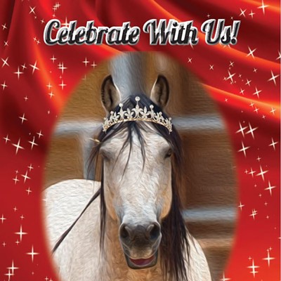 Equine Voices Rescue & Sanctuary: 15th Anniversary Celebration