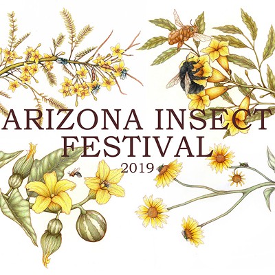 2019 Arizona Insect Festival