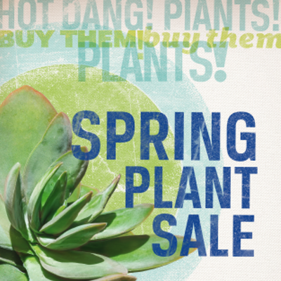 Tohono Chul's Spring Plant Sale