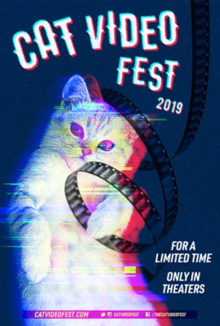 The Cat Video Fest 2019!