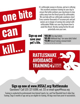 Rattlesnake Avoidance Training