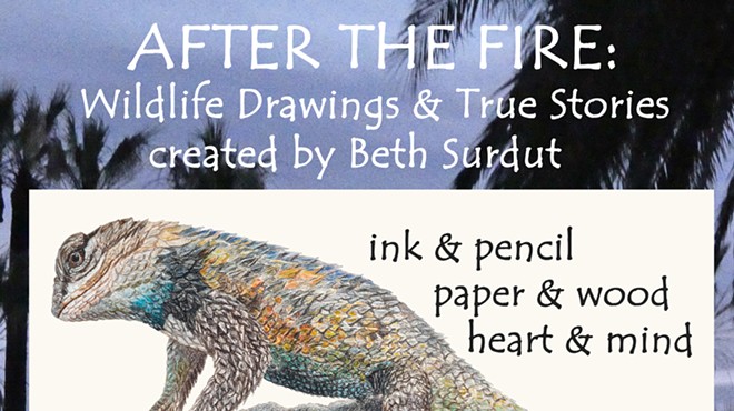 After the Fire: Wildlife Drawings & True Stories created by Beth Surdut