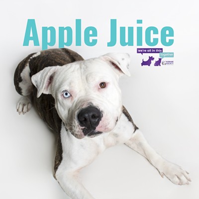 Apple Juice Needs a Home