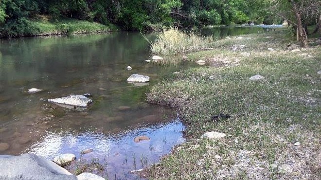 Cattle damage to Arizona’s Verde River spurs legal action