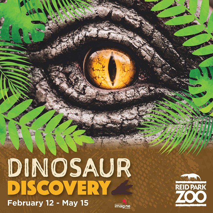Dinosaur Discovery February 12 - May 15 at Reid Park Zoo