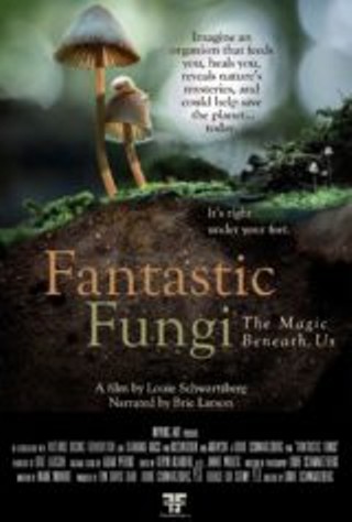 Fantastic Fungi Day