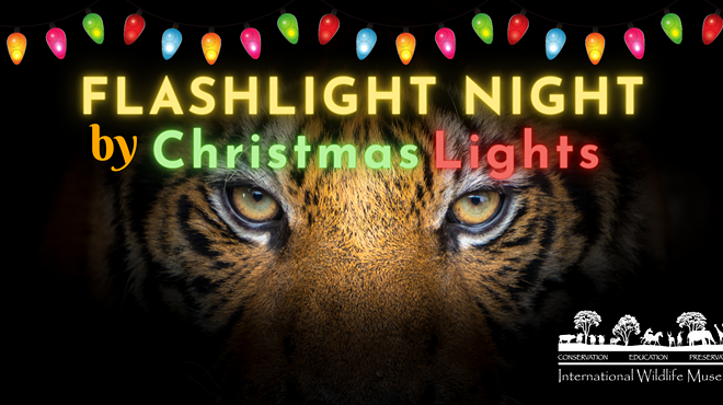 Flashlight Night by Christmas Lights