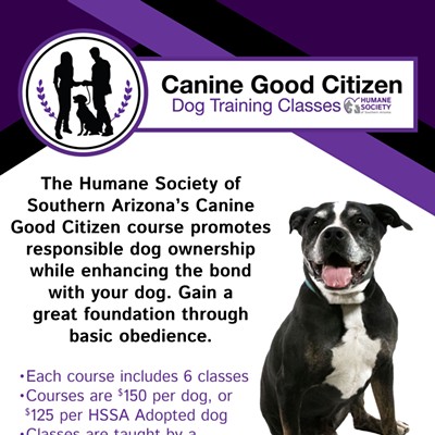 Humane Society of Southern Arizona's Canine Good Citizen Training
