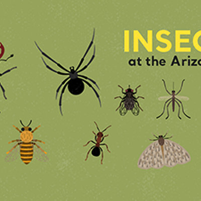 Insect Insanity at the Arizona-Sonora Desert Museum