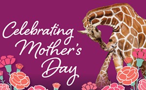 Mother’s Day at the Zoo