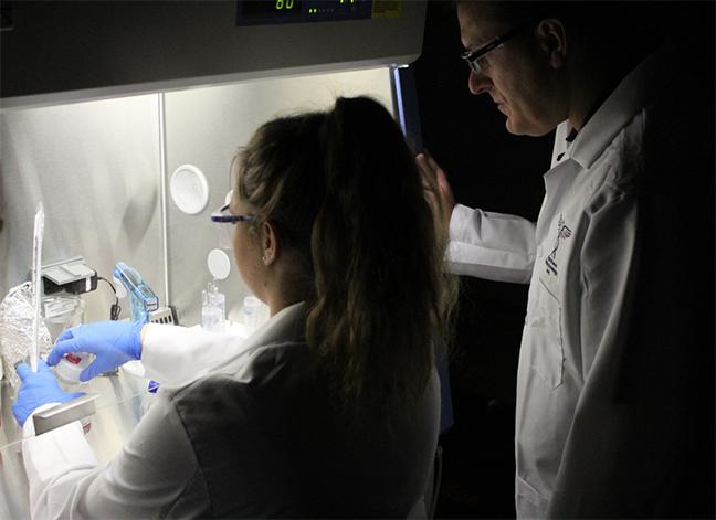 Mark Pincus directs a student at a biosafety cabinet.