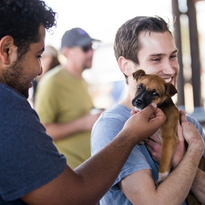 Party with the Pets at Pima Animal Care Center