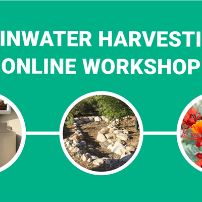 Rainwater Harvesting Online Workshop – English