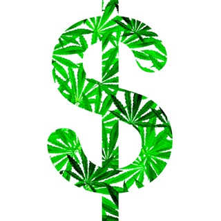 Seeing Green: Feds Continue To Fiddle as Pot Revenues Roll Like a River (of Cash)