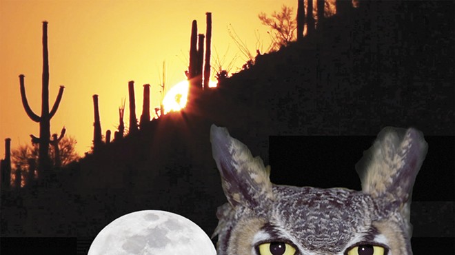 Sounds of the Sonoran Desert, an Immersive Listening Experience