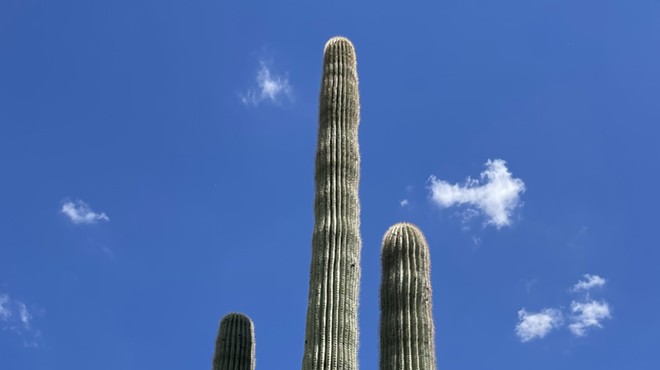 The Daily Saguaro, Tuesday 8/17/21