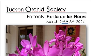 Tucson Orchid Society's 2024 Orchid Show and Sale