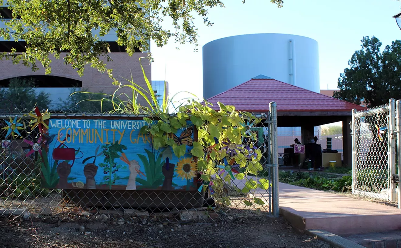 UA Compost Cats invites Tucson to mediate food waste