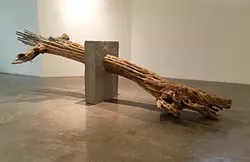 “Esthetic of Decay #11” 2017-2018, found saguaro cactus skeleton, foam, wood, chicken wire, concrete, 34.5 x 118 x 49” - OLIVIER DUBOIS-CHERRIER