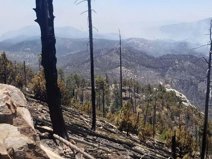 Bighorn Fire more than 50 percent contained