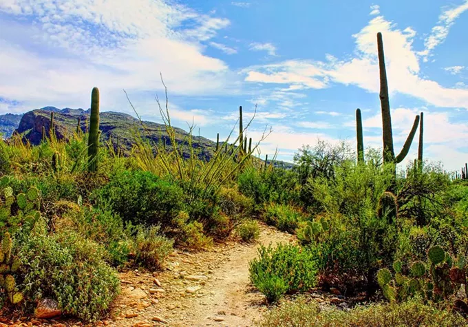 This July and August Were Tucson's Hottest Ever