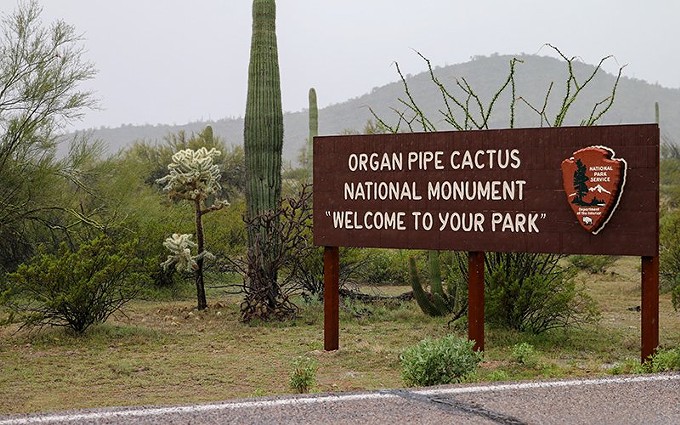 The National Park Service has prohibited access to Quitobaquio Sprigs near Organ Pipe Cactus National Monument, considered sacred by the Tohono O'odham tribe. Federal officials say it was to protect people from hazards of border wall construction in the area. - FILE PHOTO BY ANNABELLA PIUNTI/CRONKITE NEWS