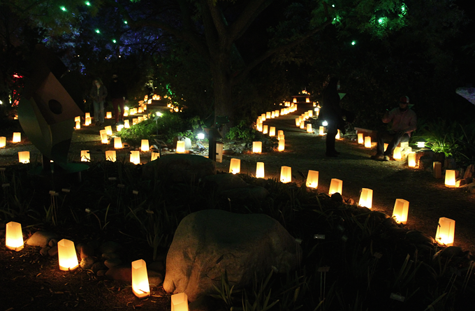 Botanical Gardens' Luminaria Nights becomes Winter 'Wanderland' (2)