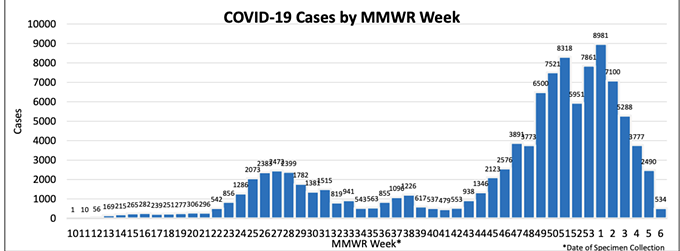 Arizona's COVID-19 Cases Decline for Fourth Straight Week