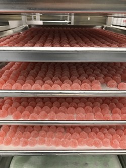 Downtown Dispensary’s racks of gummies at their industrial kitchen facility. - COURTESY PHOTO