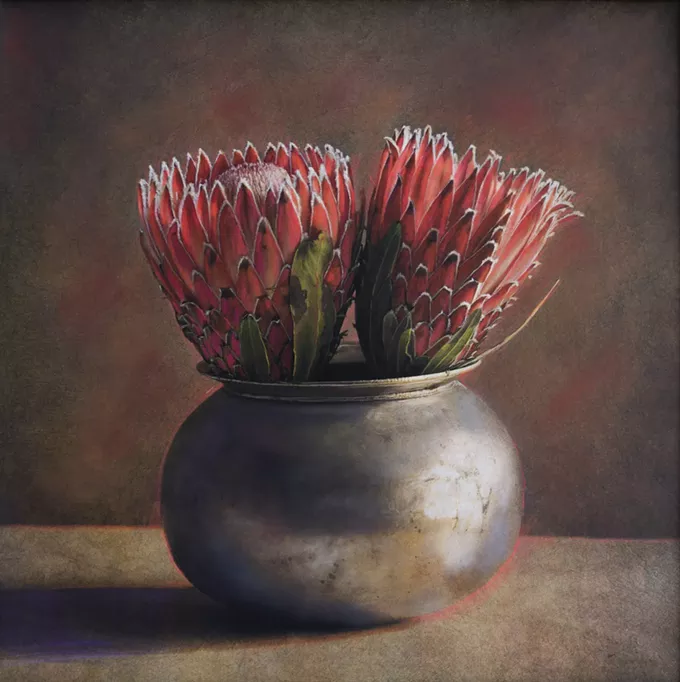 “Two Protea.” Archival pigment print, hand colored with pencil and pastel, by Kate Breakey. 24 x24 in. - COURTESY PHOTO