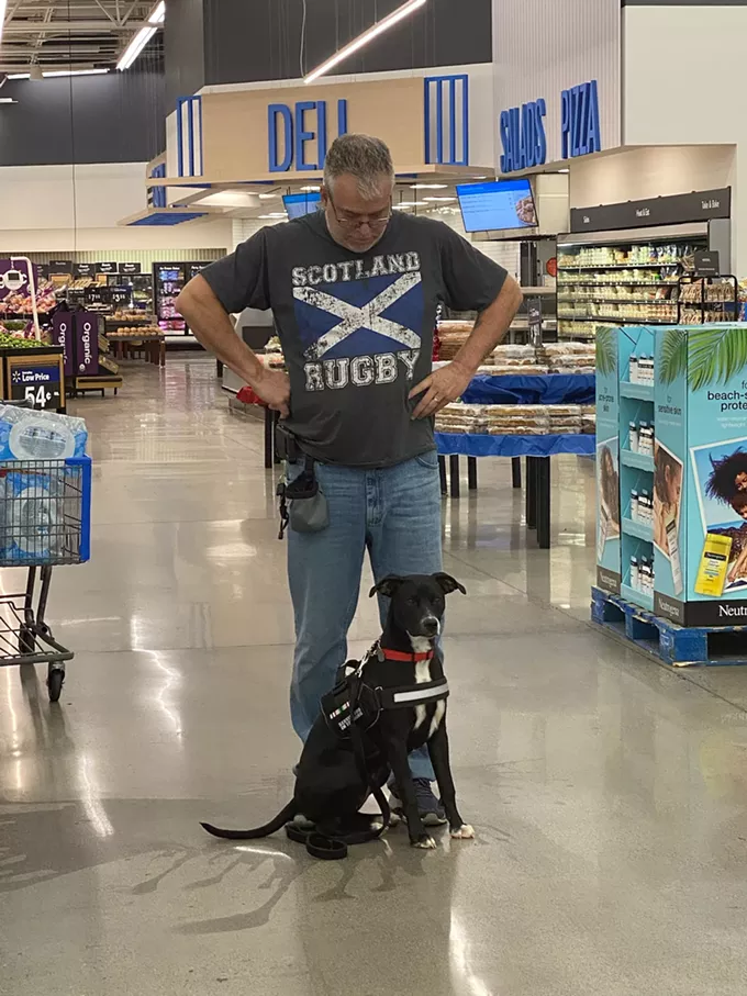 Save a pet, save a vet: Nonprofit organization trains service dogs to help vets cope with PTSD
