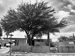 Tucson Salvage: The forever haunting of The Pied Piper of Tucson