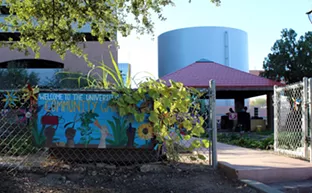 UA Compost Cats invites Tucson to mediate food waste