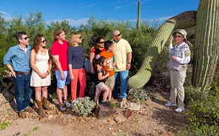 City Week: Weekly Picks