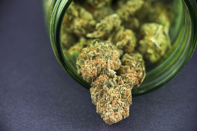 bigstock-detail-of-cannabis-bud-crimso-169879754.jpg