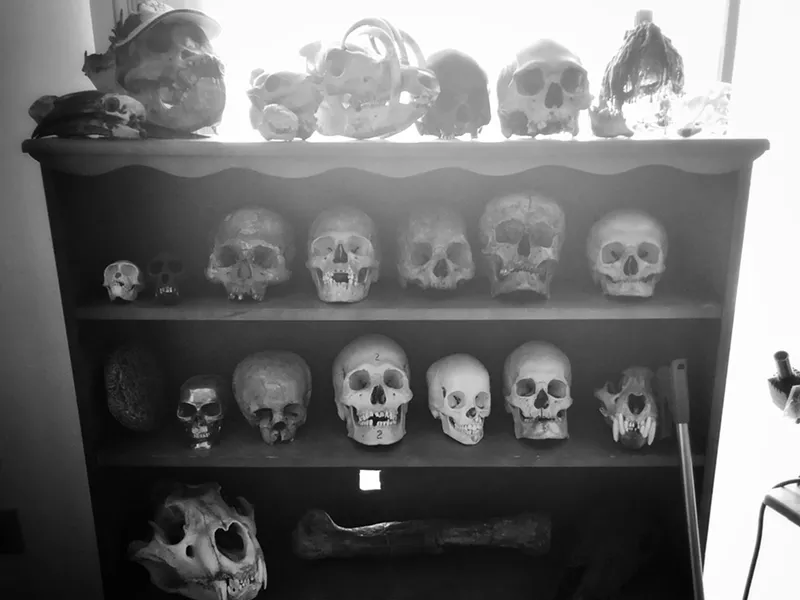Ron Ratkevich’s home collection of ancient skulls. - BRIAN SMITH