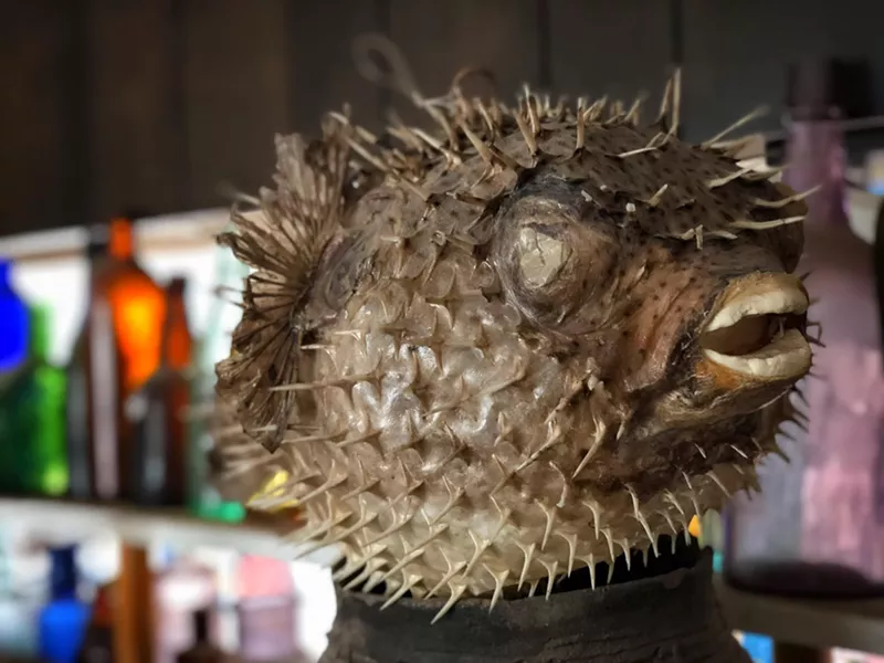 A blowfish. - BRIAN SMITH