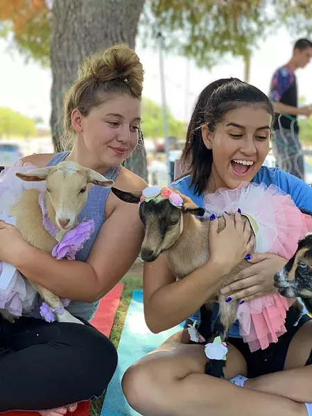 goat_yoga.jpg