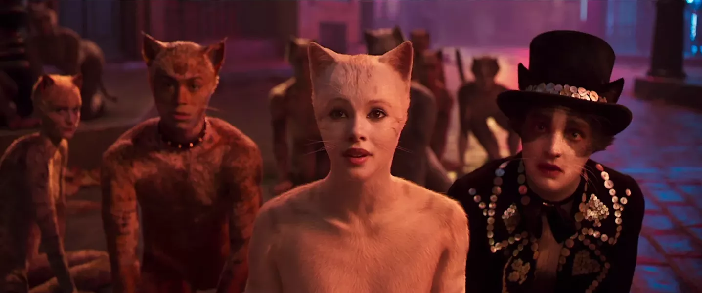 cats.jpg